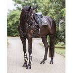 Ikonic "Light" Jumping Saddle