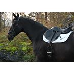 Ikonic "Light" Eventing Saddle