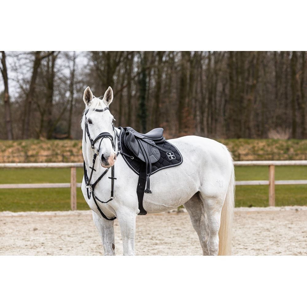 Ikonic "Evolution" Jumping Saddle "BLACK SERIES"