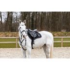 Ikonic "Evolution" Jumping Saddle "BLACK SERIES"