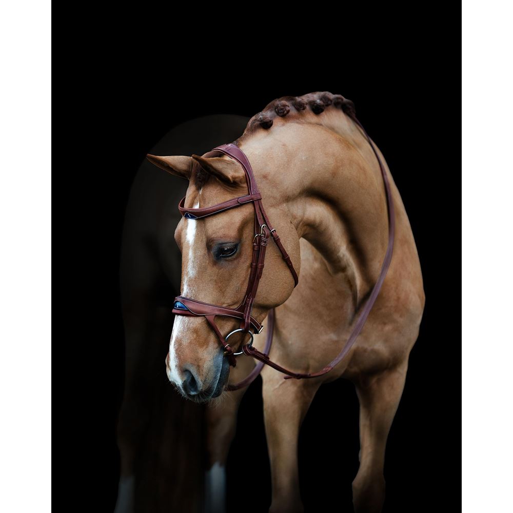 Ikonic Elite Bridle Anatomic With Logo