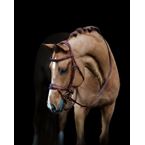 Ikonic Elite Bridle Anatomic With Logo