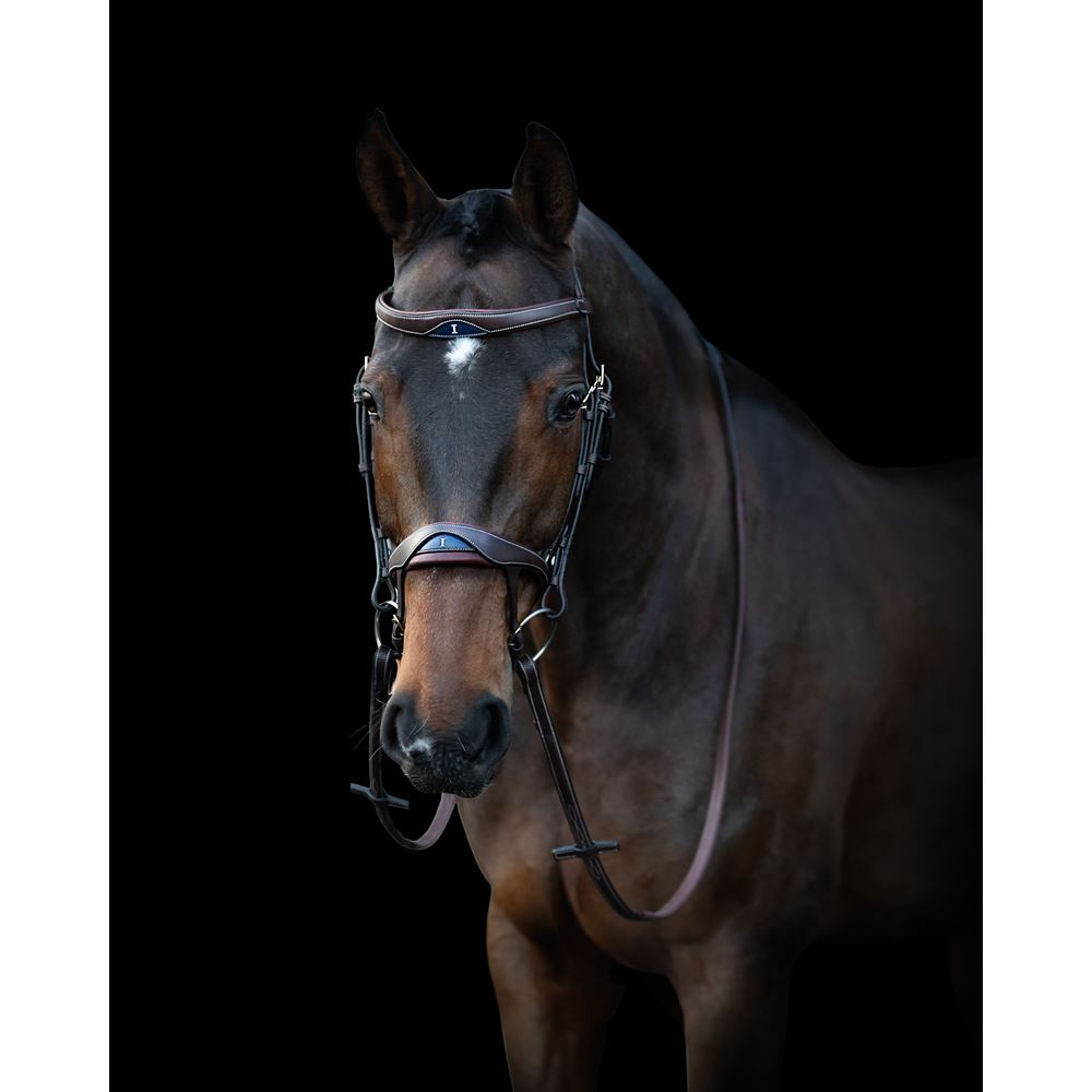 Ikonic Elite Bridle Anatomic With Logo