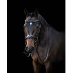 Ikonic Elite Bridle Anatomic With Logo