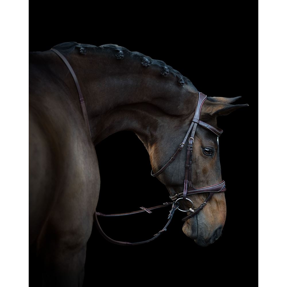 Ikonic Elite Bridle Anatomic With Logo