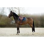 Ikonic Evolution Jumping Flex Sense