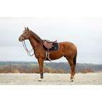 IKONIC Evolution X-Pro Jump