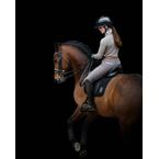Ikonic Elite Double Flap Dressage Saddle