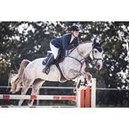 IKONIC Stud Girth with Removeable Sheepskin