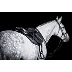 IKONIC Jumping saddle "Evolution" Calflined "BLACK SERIES"