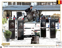 Wilderhof Equine Solutions