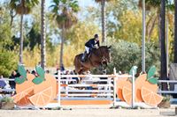 Sattlerei am Bachtel