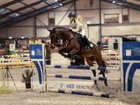 Ruitersport Hippique