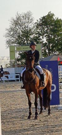 Ruitersport Hippique