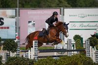 Ruitersport Hippique