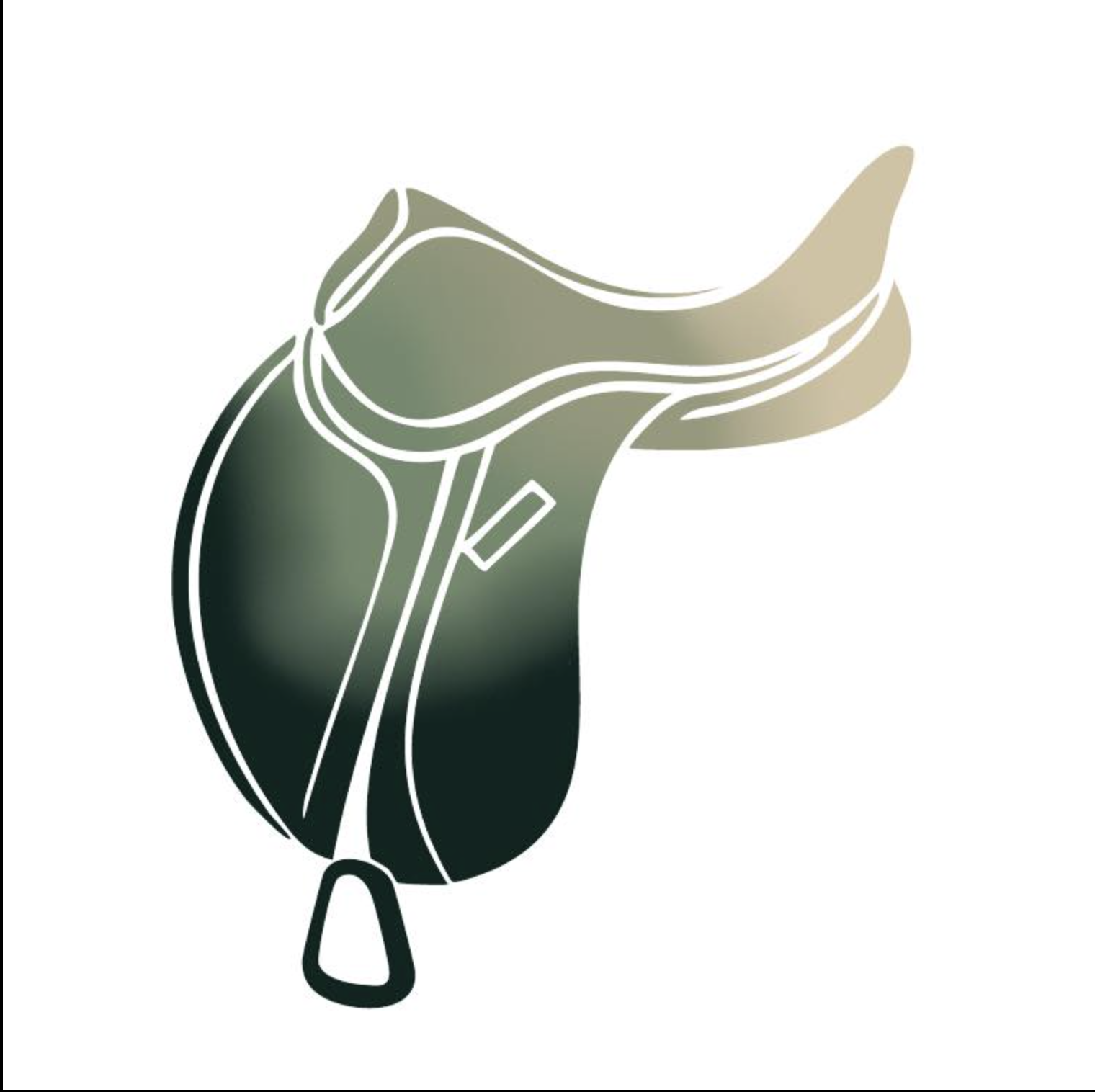 Centaure Saddle Fitting