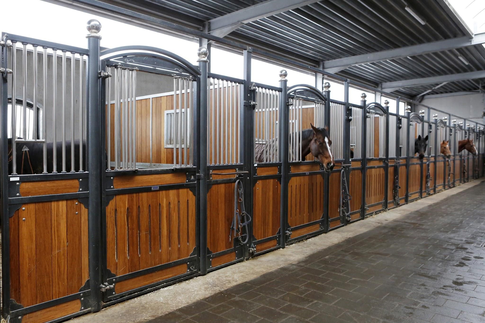 RIJSCHOOL PRONKENBERG .