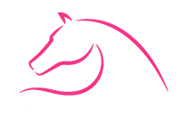JS Sattelservice