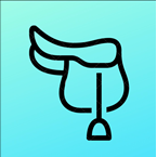 Saddle Fitting Auvergne