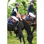 Ikonic "Evolution" Selle Jumping Poney All in Comfort