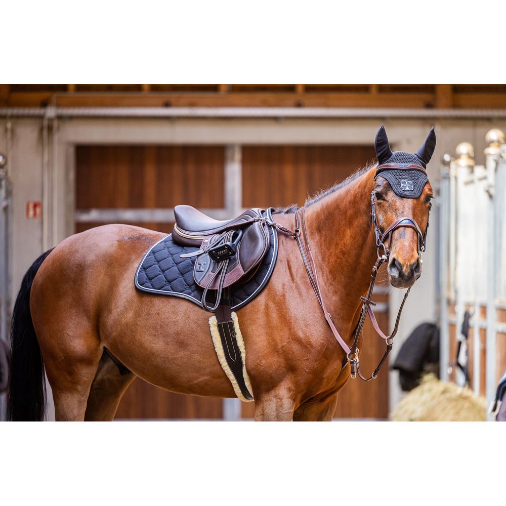 Ikonic "Evolution" Springzadel