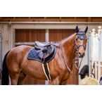 Ikonic "Evolution" Springzadel