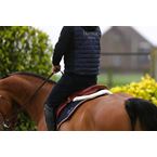 Ikonic "Elite" All in Balance Springzadel