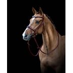 Ikonic Elite hoofdstel Anatomisch Met Logo