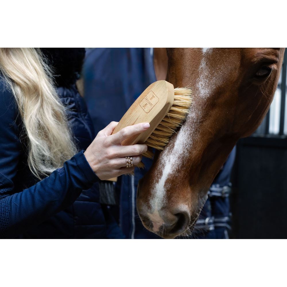 Ikonic verzorgingstas voor borstels