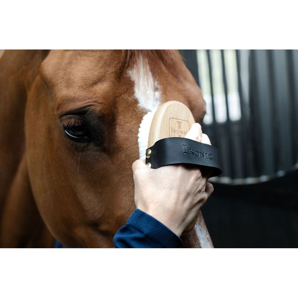 Ikonic verzorgingstas voor borstels