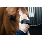 Ikonic verzorgingstas voor borstels