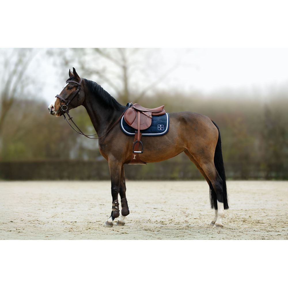 Ikonic Evolution Springzadel Flex Sense