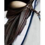 Evolution monoblads springzadel