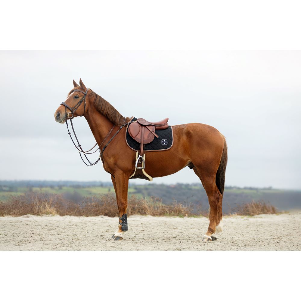 IKONIC Evolution X-Pro Springen