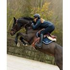 Ikonic "Elite" Het Authentieke Springzadel