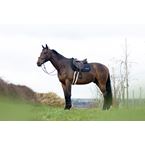 TEKNA Springzadeldek