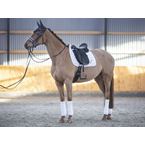 Ikonic "Evolution" Dressursattel Kalbsleder