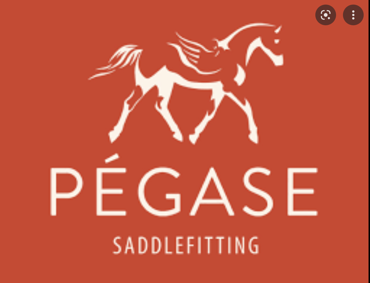Pégase Saddle fitting