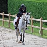 Huard Belloir Sellier