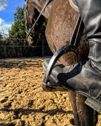 Huard Belloir Sellier