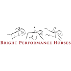 Bright Performance Horse