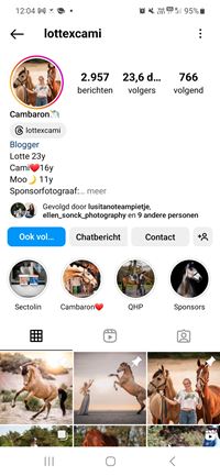 Ruitersport Hippique