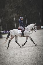 Voluspa sellier Harnacheur