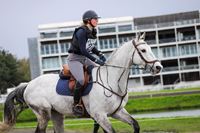 Voluspa sellier Harnacheur