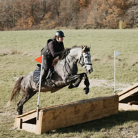 Voluspa sellier Harnacheur