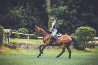 Sattlerei am Bachtel