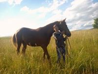 Voluspa sellier Harnacheur