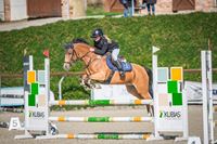 FONTANELLA SEDLA S.R.O