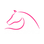 JS Sattelservice