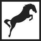 Eriksson Horseschooling ky